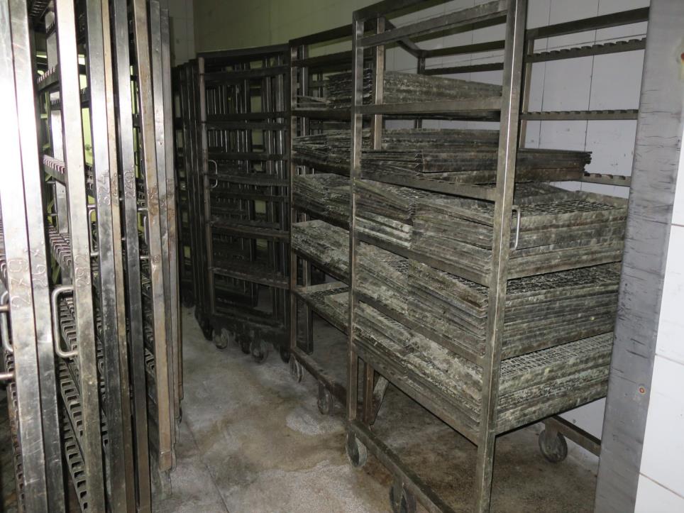 Fleischverarbeitungsmaschinen-2